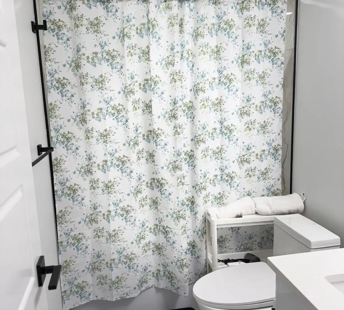 Charming Basement Suite Edmonton Canada